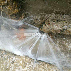 枣阳消防管道漏水检测